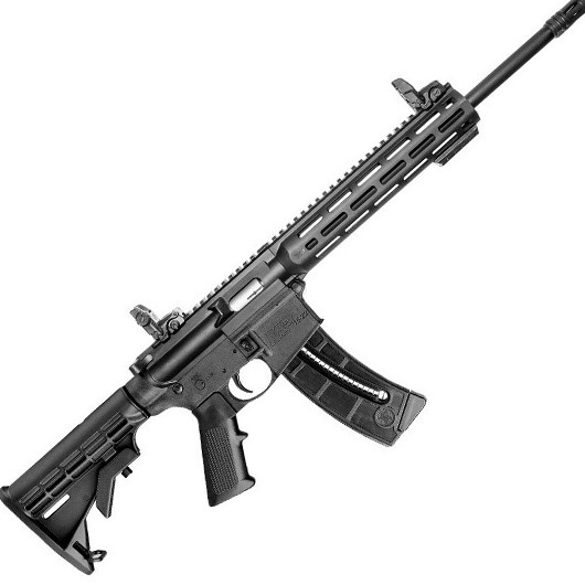 SMITH AND WESSON M&P15-22 SPORT