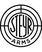 STEYR ARMS